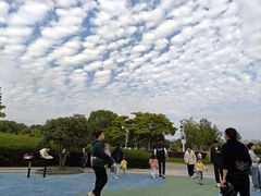 -安徽大学(磬苑校区)