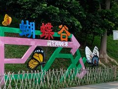 景点-水濂山森林公园
