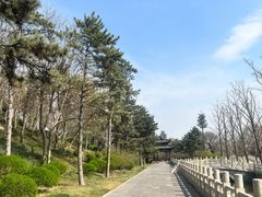 -晋祠公园