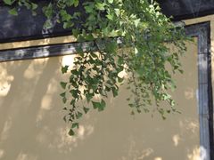 -无锡惠山寺
