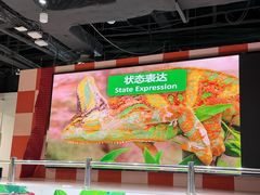 -上海大自然野生昆虫馆(东方明珠·爬宠昆虫探索中心)