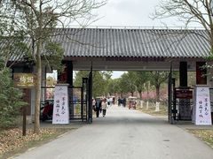 -上海海湾国家森林公园