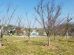 -镇江市南山风景名胜区竹林景区