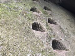 -鲁山国家森林公园