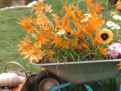 -HERRE·FARM 赫尔露营农场·团建聚会包场