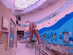 -陕西自然博物馆