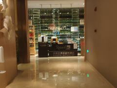 -苏州金鸡湖文博诺富特酒店