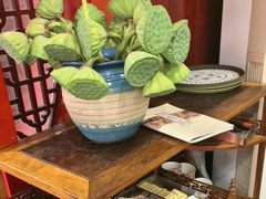 -中卫御苑福膳·养生局(圆明园店)