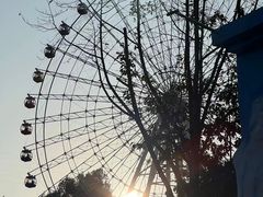 -温州乐园