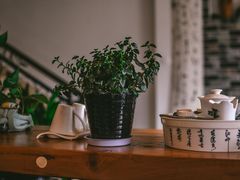 -茶油香闽南菜·花园餐厅(前埔店)