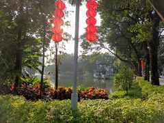-荔湾湖公园