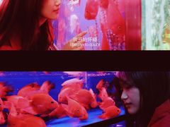 -登良(地铁站)