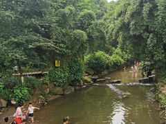 -重庆彩云湖湿地公园