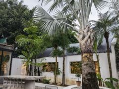 -自由生长植物工作室(深港花卉中心店)