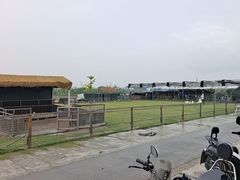 -栖露营camping·天幕烧烤·团建拓展·采摘营地