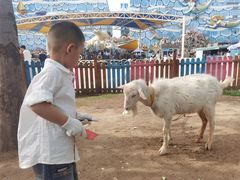 -华夏文旅海洋公园