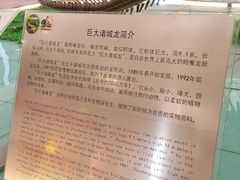 -诸城市恐龙博物馆