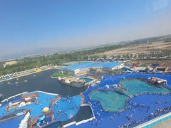 -秦皇岛乐岛海洋王国