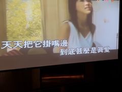 -V·SHOW KTV(南山店)