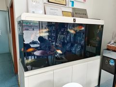 -泰洋动物医院·神经专科·磁共振·CT(天河公园总院)