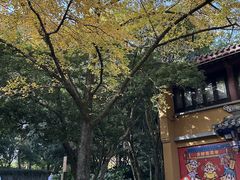 -灵谷景区