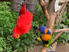 -南宫五洲植物乐园