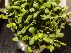 -浩爷羊蝎子火锅(双榆树店)