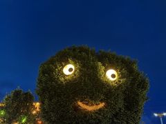 -特克斯八卦城