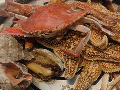 -半岛听涛蒸汽海鲜自助(K11店)