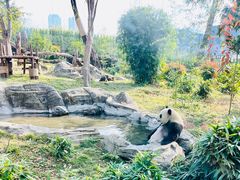 -武汉动物园