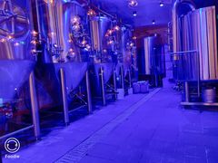 -Ambra Haus琥珀屋精酿餐厅(宝山店)