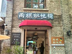 -两棵枇杷树