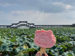 -锦溪古镇