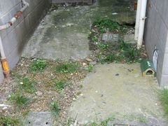 小区环境-东苑半岛花园