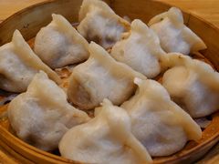 猪肉酸菜蒸饺-新兴园饺子馆(北京百子湾店)