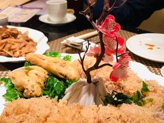 -金燕岛潮州酒楼