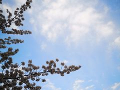 -江苏第二师范学院(草场门校区)