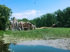 -微山湖红荷湿地景区