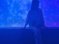 -左海海底世界