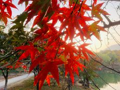 -南山风景名胜区