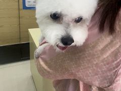 -天宠宠物医院24小时·急重症诊疗中心·全科·腔镜特色(和平分院)