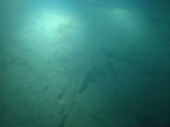 -白鹤梁水下博物馆