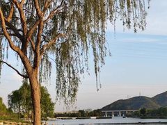 -永定河休闲森林公园