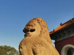 -北陵公园