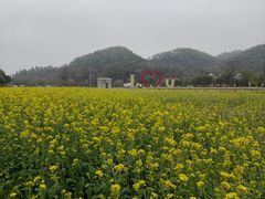 -红山村
