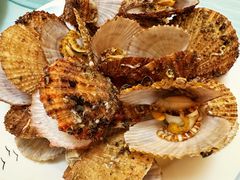 -宾朋海鲜特色美食餐厅·纯手工鲅鱼水饺(兴海路店)