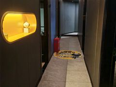 -梵猫·新养生(加州广场店)