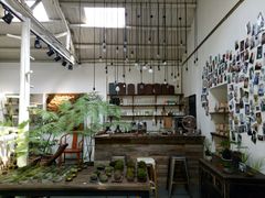 -植觉