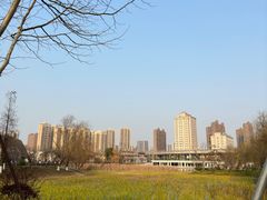 -洋湖国家湿地公园