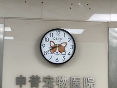 -申普宠物医院(总院)